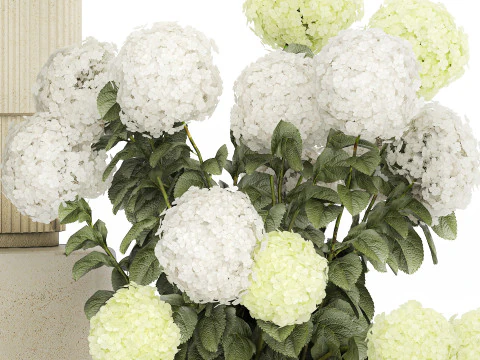 Potted Plants Hydrangea Outdoor White Flowers 1483 3D Model