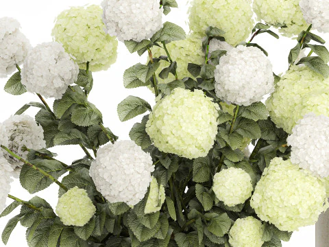 Potted Plants Hydrangea Outdoor White Flowers 1483 3D Model