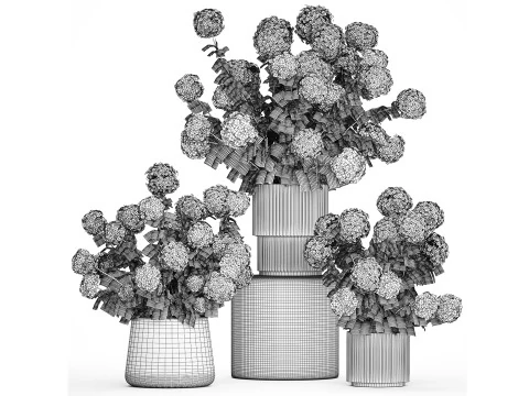 Potted Plants Hydrangea Outdoor White Flowers 1483 3D Model