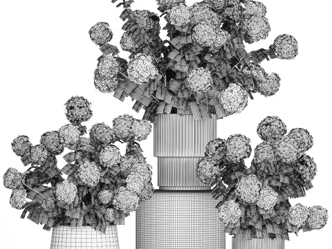 Potted Plants Hydrangea Outdoor White Flowers 1483 3D Model