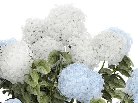 Struiken Wit Blauwe Hortensia Met Bloementuin 1483 3D Model