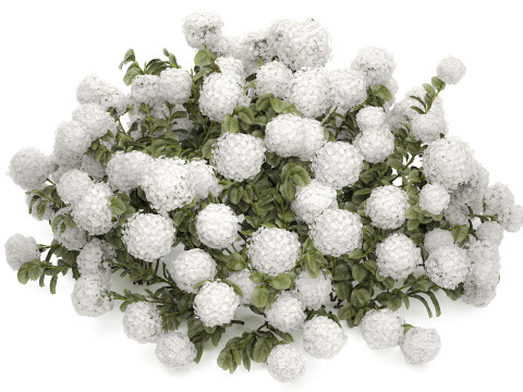 Bush blooming white hydrangea for the garden 1485 3D Model