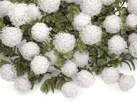 Cespuglio di ortensie bianche in fiore per il giardino 1485 Modello 3D