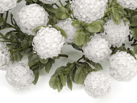 Bush blooming white hydrangea for the garden 1485 Modello 3D