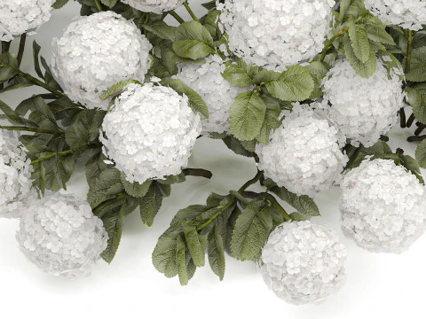 Cespuglio di ortensie bianche in fiore per il giardino 1485 Modello 3D