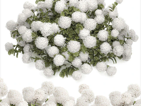Cespuglio di ortensie bianche in fiore per il giardino 1485 Modello 3D