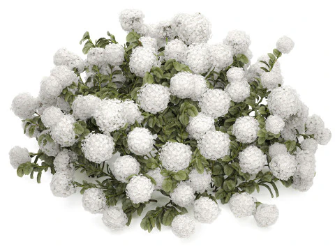 Cespuglio di ortensie bianche in fiore per il giardino 1485 Modello 3D