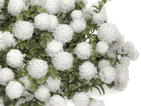 Cespuglio di ortensie bianche in fiore per il giardino 1485 Modello 3D