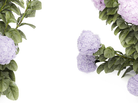 Set bushes lilac pink hydrangea with flowers for the garden 1486 Modello 3D