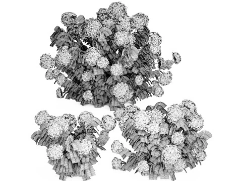 Ensemble de buissons d'hortensia rose lilas avec fleurs pour le jardin 1486 Modèle 3D