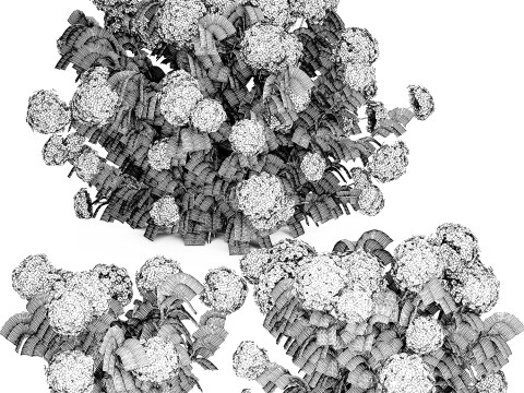 Set bushes lilac pink hydrangea with flowers for the garden 1486 Modello 3D