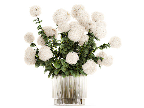 Flower Bouquets Chamomile Peonies Poppy Hydrangea 596 3D Model