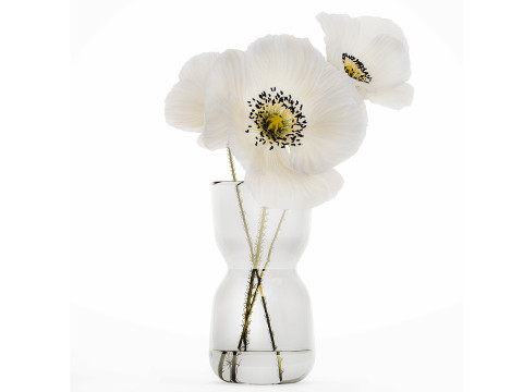 Flower Bouquets Chamomile Peonies Poppy Hydrangea 596 3D Model