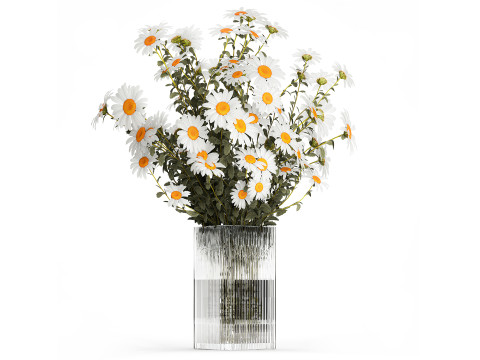 Flower Bouquets Chamomile Peonies Poppy Hydrangea 596 3D Model