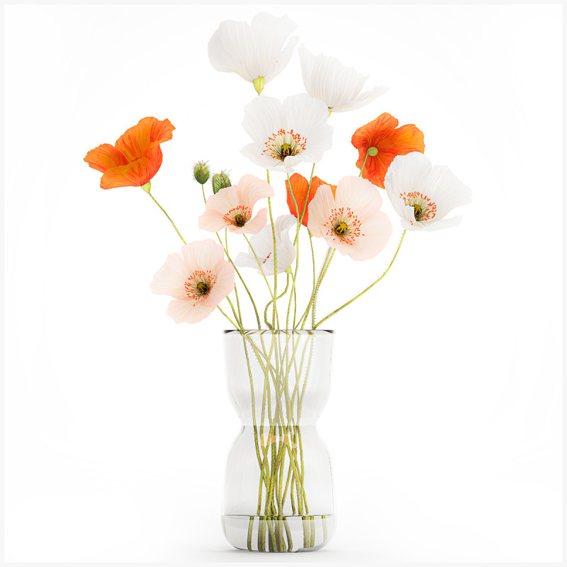 Bouquet In A Glass Vase With Icelandic Poppy 597 3Dモデル .c4d .max .obj .3ds .fbx .stl .blend