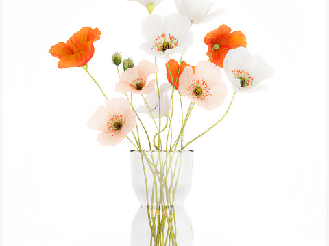 Bouquet In A Glass Vase With Icelandic Poppy 597 Modèle 3D