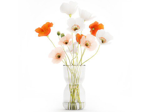 Bouquet In A Glass Vase With Icelandic Poppy 597 3Dモデル