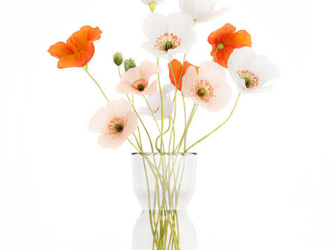 Bouquet In A Glass Vase With Icelandic Poppy 597 3Dモデル
