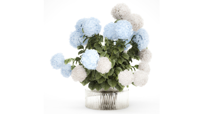 Bouquet in a glass green vase with white blue hydrangea 598 3D 模型 .c4d .max .obj .3ds .fbx .stl .blend 