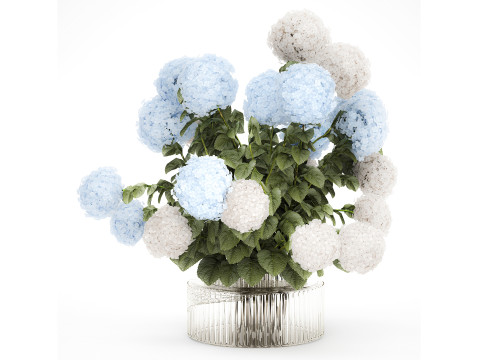 Bouquet in a glass green vase with white blue hydrangea 598 3D Model
