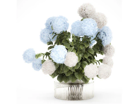 녹색 유리 꽃병에 흰색 파란색 수국이 담긴 꽃다발 598 3D 모델