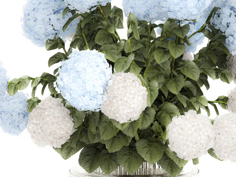 Bouquet in a glass green vase with white blue hydrangea 598 3D Model