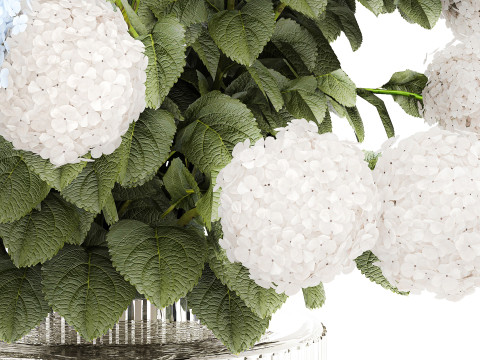 Bouquet in a glass green vase with white blue hydrangea 598 3D 模型