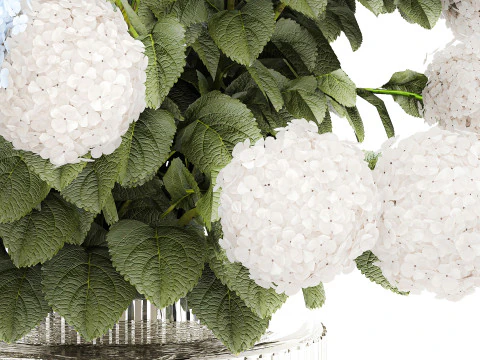Bouquet in a glass green vase with white blue hydrangea 598 3D Model