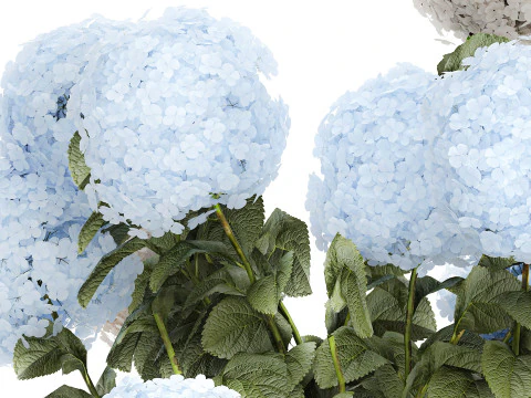 Bouquet in a glass green vase with white blue hydrangea 598 3D Model