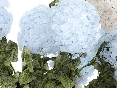 Bouquet in a glass green vase with white blue hydrangea 598 3D Model