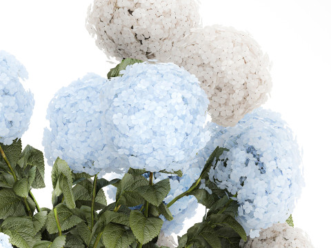 Bouquet in a glass green vase with white blue hydrangea 598 3D 模型