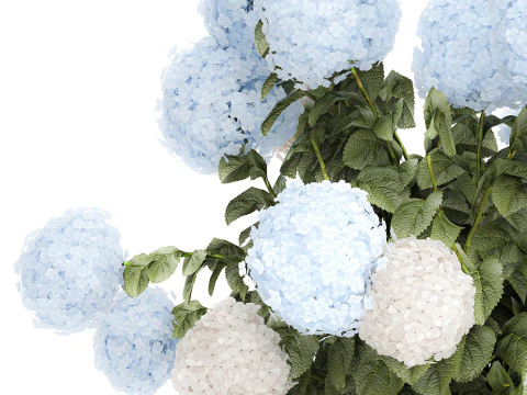 Bouquet in a glass green vase with white blue hydrangea 598 3D Model