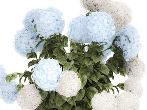 Bouquet in a glass green vase with white blue hydrangea 598 3D Model