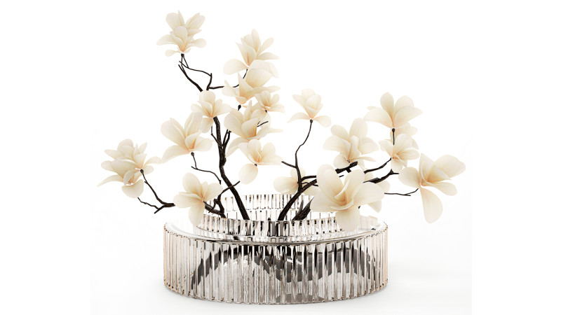 White Flowers From Branches Of Blooming Magnolia 599 Model 3D .c4d .max .obj .3ds .fbx .stl .blend 