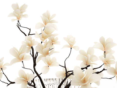 White Flowers From Branches Of Blooming Magnolia 599 Model 3D