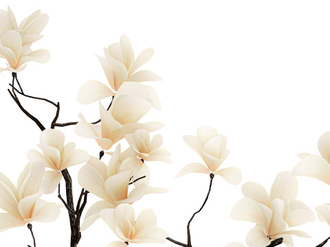 White Flowers From Branches Of Blooming Magnolia 599 Model 3D
