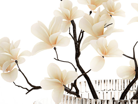 White Flowers From Branches Of Blooming Magnolia 599 Model 3D