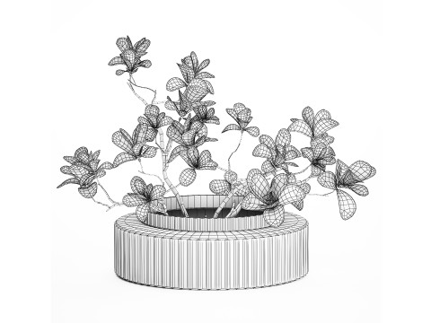 White Flowers From Branches Of Blooming Magnolia 599 Model 3D