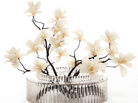 White Flowers From Branches Of Blooming Magnolia 599 Model 3D