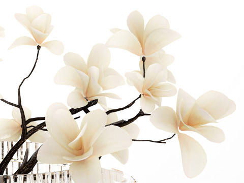 White Flowers From Branches Of Blooming Magnolia 599 Model 3D