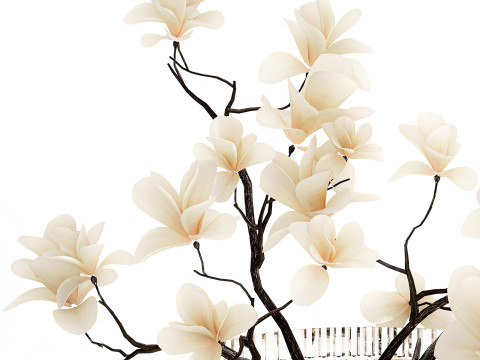 White Flowers From Branches Of Blooming Magnolia 599 Model 3D