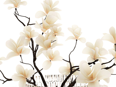 White Flowers From Branches Of Blooming Magnolia 599 Model 3D