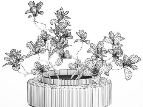 White Flowers From Branches Of Blooming Magnolia 599 Model 3D