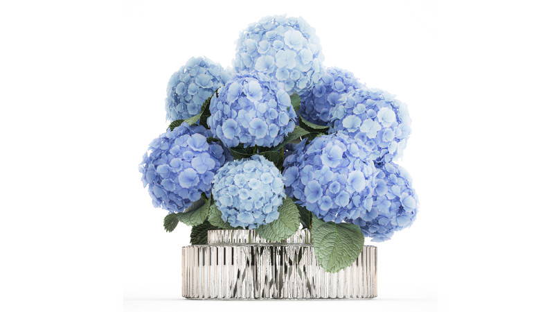 Bouquet In A Glass Vase With Blue Hydrangea 601 3D Model .c4d .max .obj .3ds .fbx .stl .blend