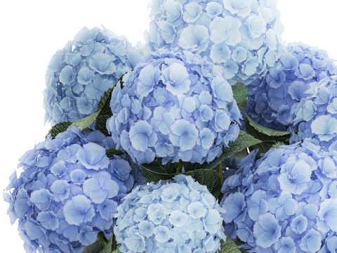 Bouquet In A Glass Vase With Blue Hydrangea 601 3D Model
