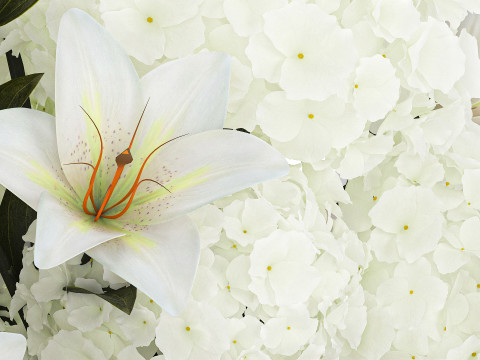 Festive bouquet in a glass vase with white hydrangea lilies 602 3Dモデル