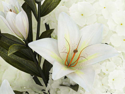 Festive bouquet in a glass vase with white hydrangea lilies 602 3Dモデル