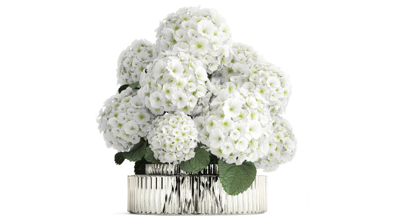 Beautiful festive bouquet decoration glass vase white hydrangea 603 3D Model .c4d .max .obj .3ds .fbx .stl .blend 