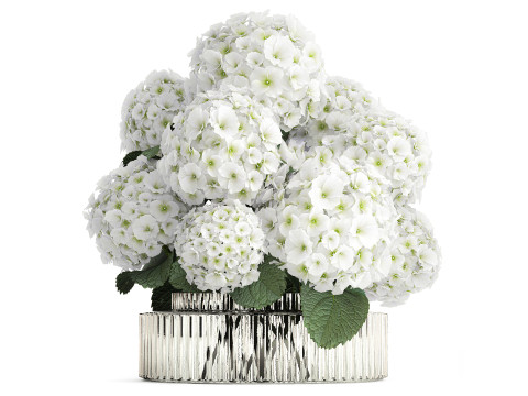 Beautiful festive bouquet decoration glass vase white hydrangea 603 3Dモデル