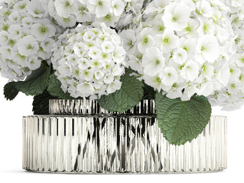 Beautiful festive bouquet decoration glass vase white hydrangea 603 3D Model